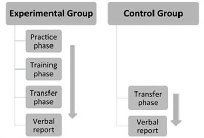 Impact of Response Stimulus Interval on Transfer of Non-local Dependent Rules in Implicit Learning: An ERP Investigation